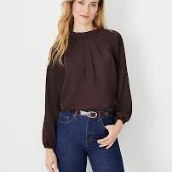 Ann Taylor Brown Pleated Ruffle Neck Tunic Top NWT - Picture 1 of 6